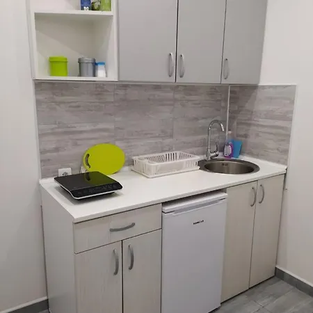 Apartment Pavicevic Soko Banja