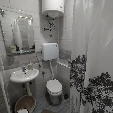 Apartment Pavicevic Soko Banja