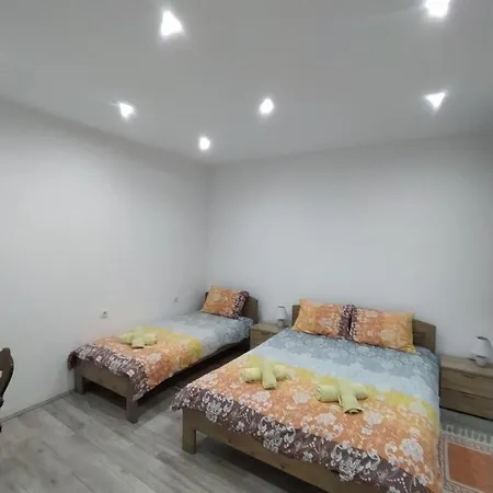 Pavicevic Soko Banja