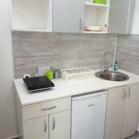 Apartment Pavicevic Soko Banja