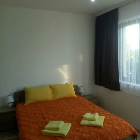 Pavicevic Soko Banja