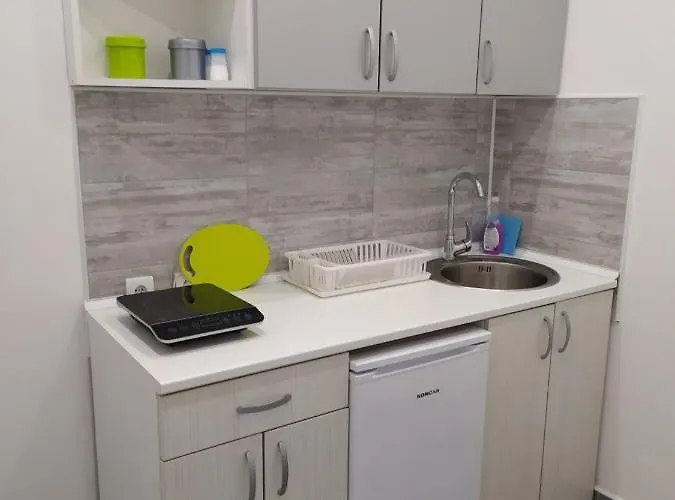 Apartament Pavicevic Soko Banja