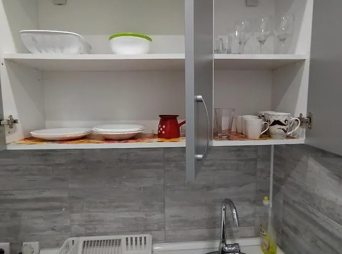 Apartament Pavicevic Soko Banja