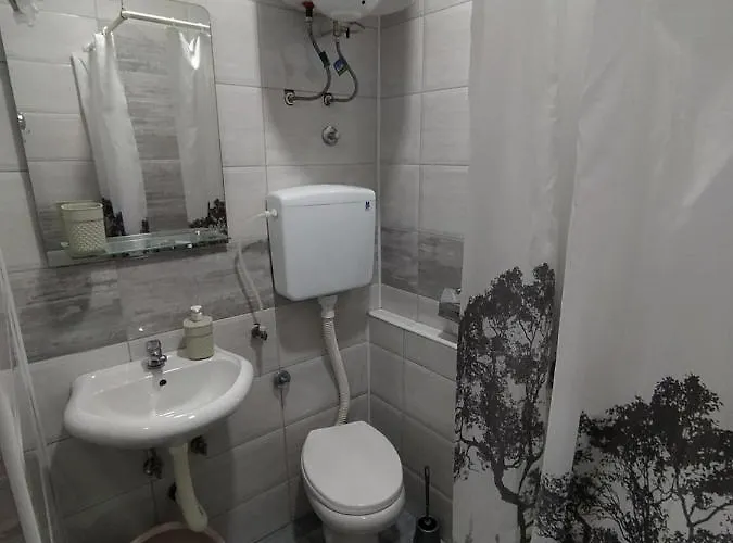 Apartament Pavicevic Soko Banja