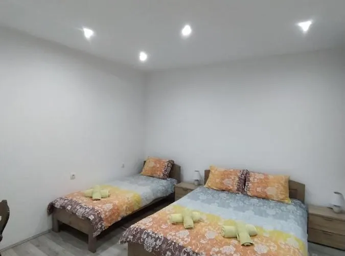 Pavicevic Soko Banja