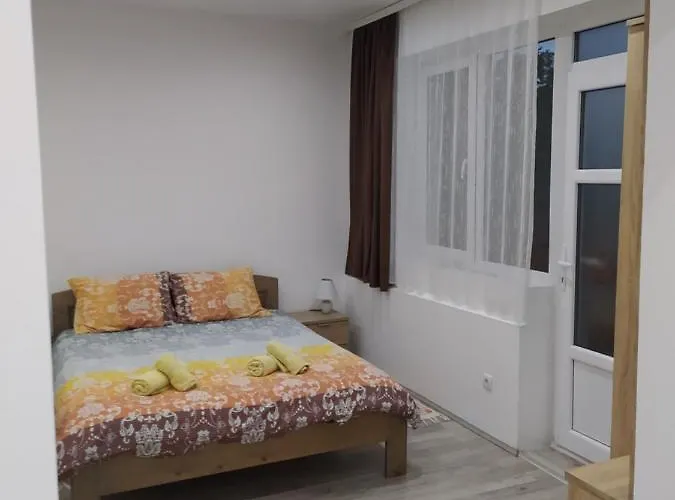 Pavicevic Apartament *